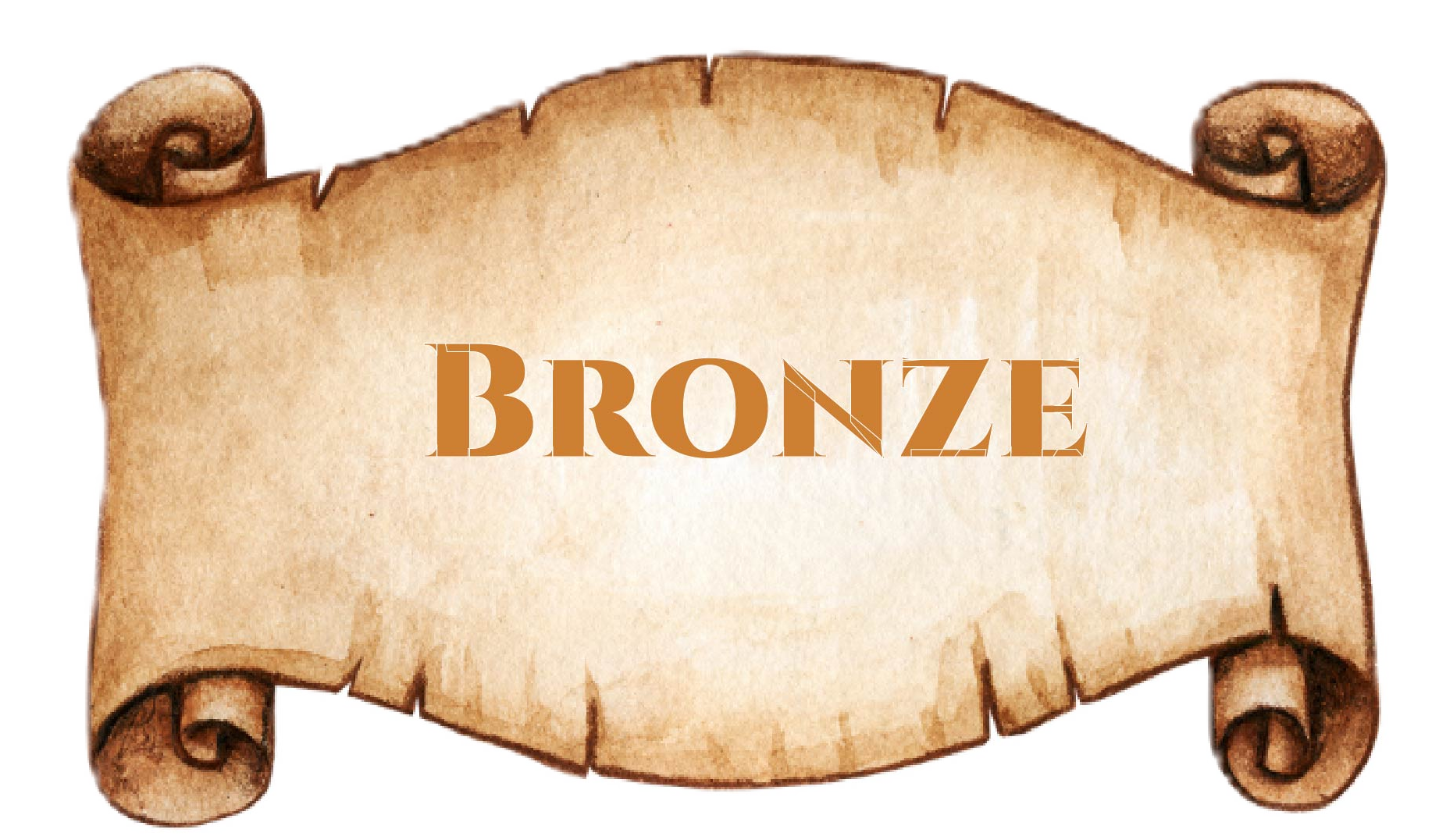 Bronze Sponsors