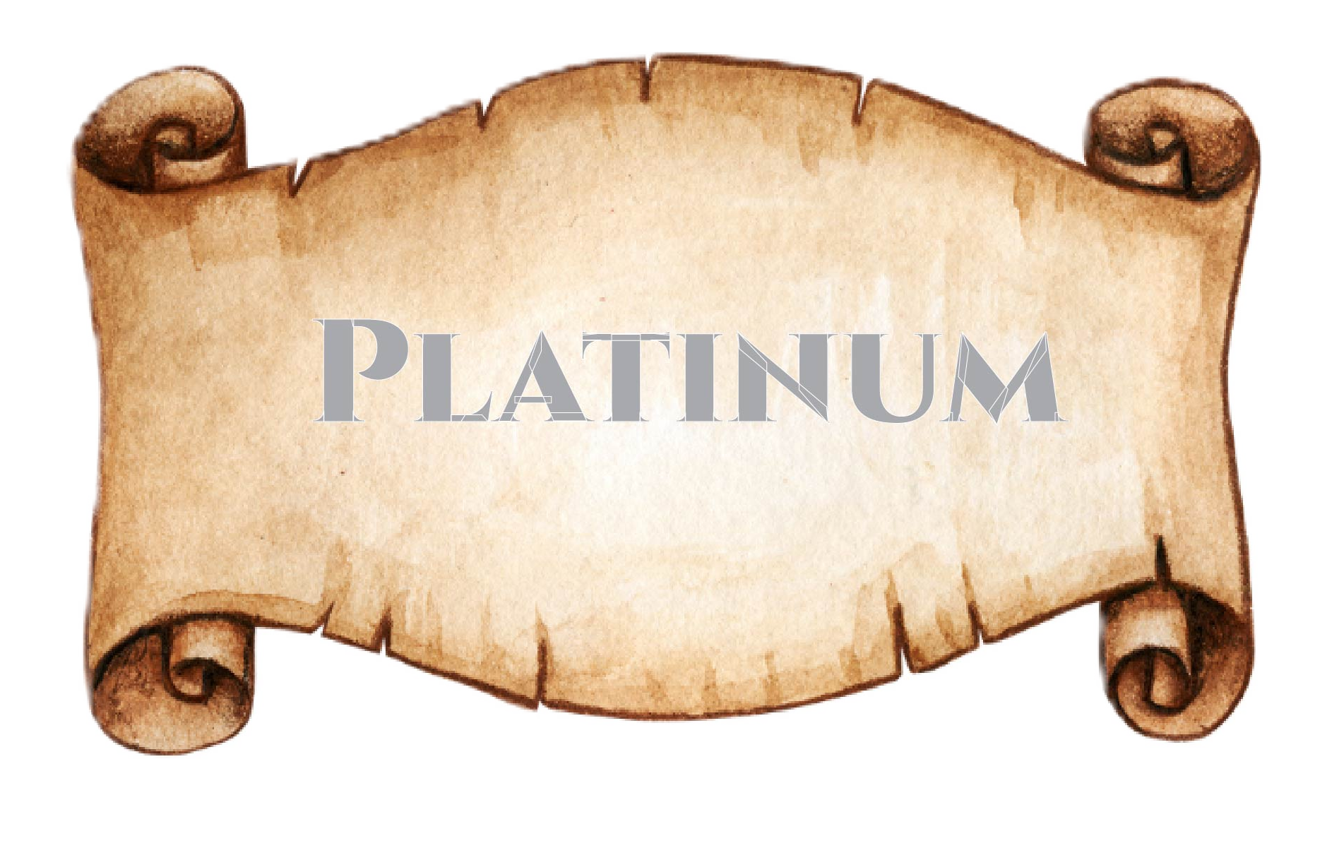 Platinum Sponsors