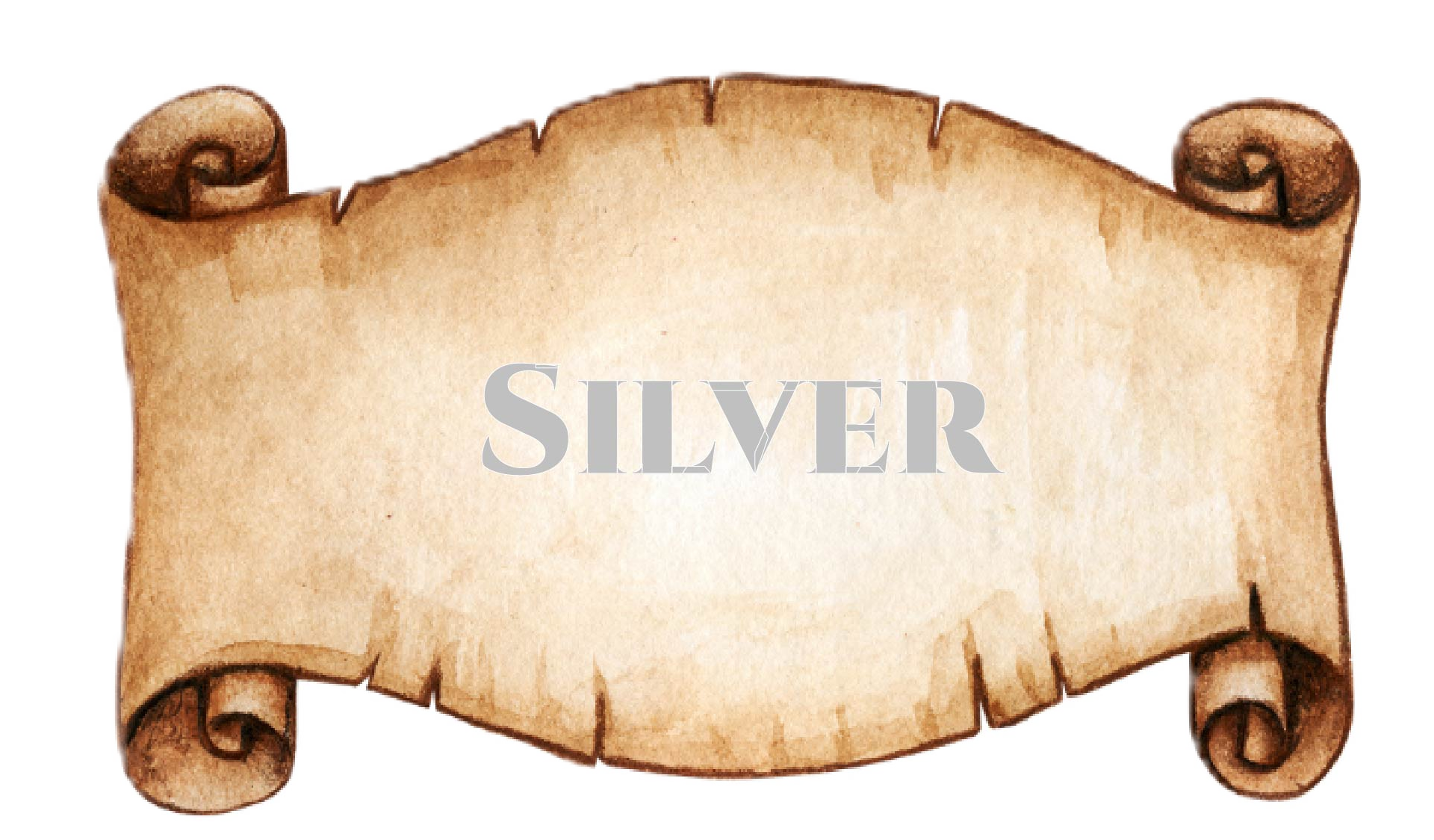Silver Sponsors