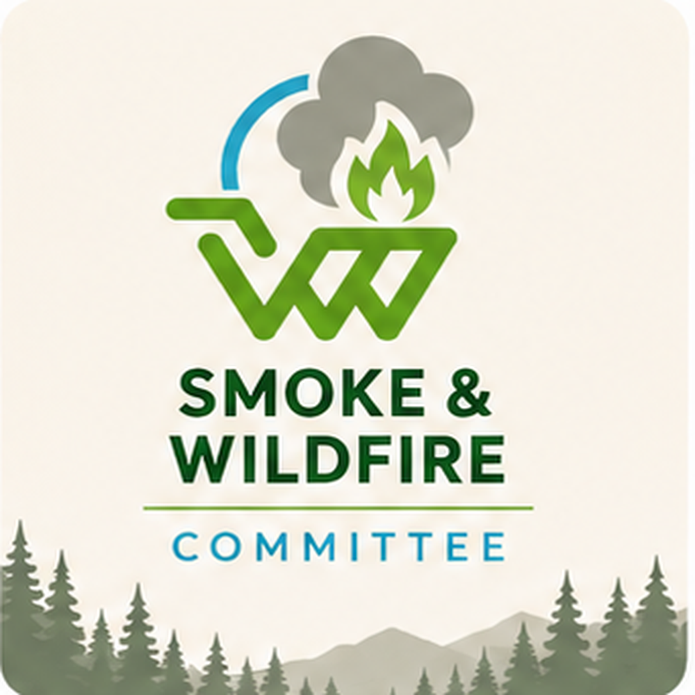 Managing Wildfire and Smoke for Outdoor Recreation Destinations Committee
