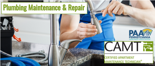 Plumbing Maintenance and Repair