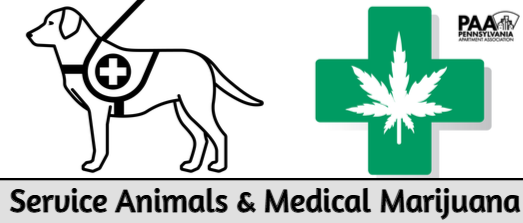 Service Animals and Medical Marijuana