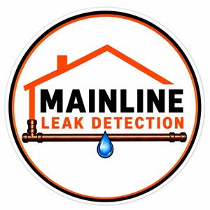 Photo of Mainline Leak Detection