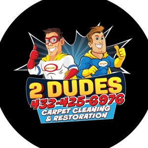 2 Dudes Carpet Cleaning and Restoration LLC