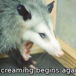 Photo of Edward Sanchez