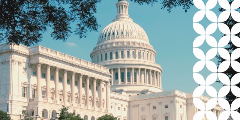 A clear view of the United States Capitol building dome and facade on a bright day, framed slightly by green tree branches in the upper left corners. A white geometric pattern runs down the right border of the image.