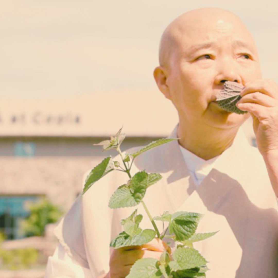 A person with a shaved head wearing light-colored robes stands outside, holding a green leafy plant stem in one hand while bringing a single leaf up to their nose to smell it.