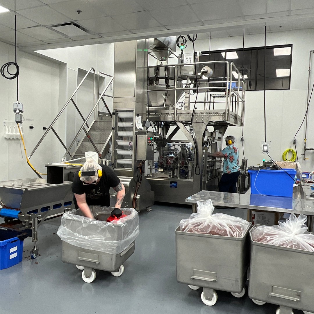 Inside a clean food manufacturing facility, two workers wearing hairnets and ear protection manage production. One worker bends over a large rolling bin lined with plastic, while automated stainless steel sorting and packaging machinery stands in the background.