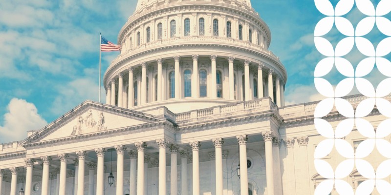 Image of the Capitol building in DC with a white leaf pattern overtop.