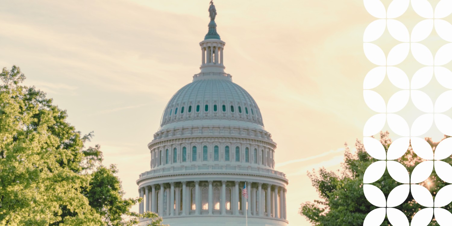 A close-up view of the United States Capitol dome under a warm, hazy sky. Lush green trees flank the building on the left and right sides. A white geometric pattern runs down the right border of the image.