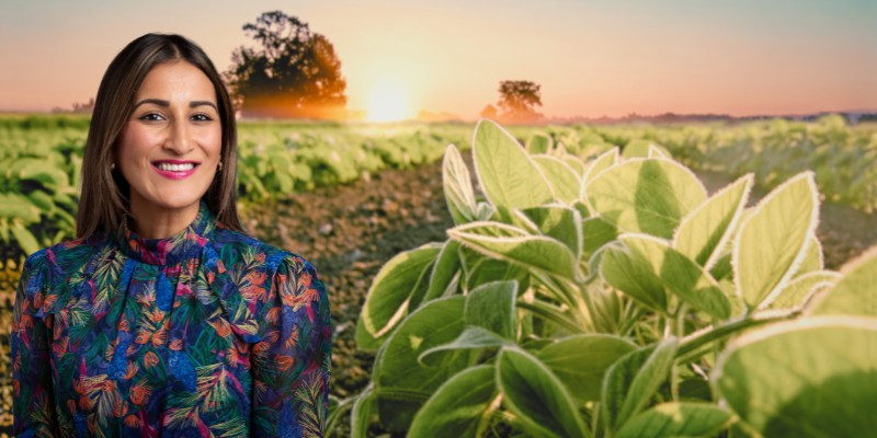 Photo of Sanah Baig superimposed over a wide agricultural field at sunrise, with leafy green crops in the foreground and the sun glowing on the horizon.