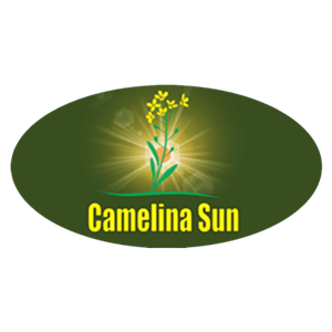 Photo of Camelina Sun
