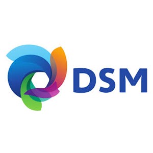Photo of DSM