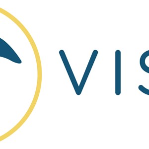 Photo of Vismi LLC