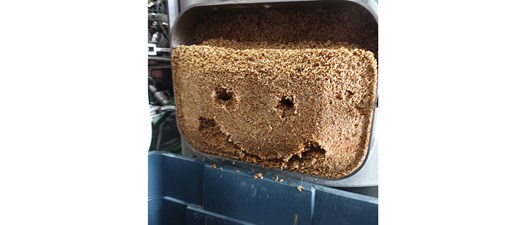 PBS Florida x Legacy Ale Works Collaboration brew day