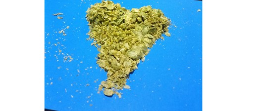 10th Annual YCH Hop Rub: Florida Chapter