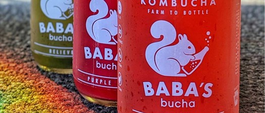 Philadelphia Chapter Kombucha Education at Baba's Bucha