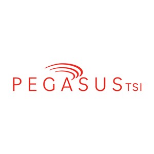 Photo of PegasusTSI, Inc.
