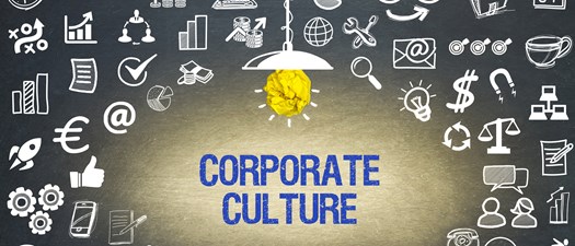 Company Culture Brief - Your Behavior/Management Style