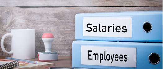 Webinar: 2025 Wage + Benefits Insights & Analysis