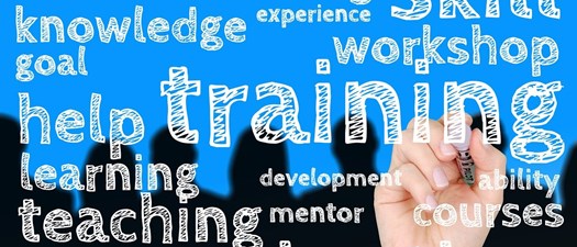 Virtual: CSR Training Intensive - 3 Part Series