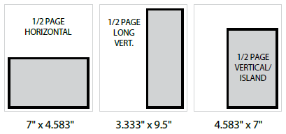 A diagram of a long vertDescription automatically generated