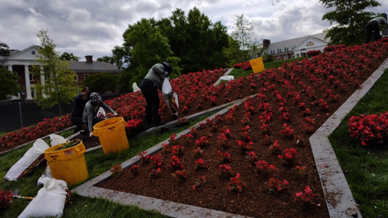 University of Maryland Landscape Design and Maintenance