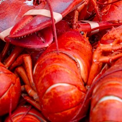 2026 Lobster Bake, Extra Lobster