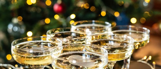 2027 Holiday Social