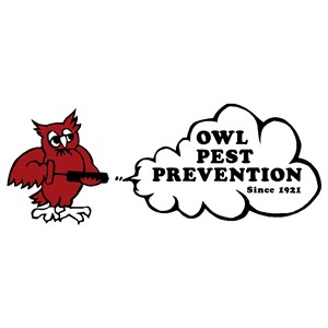 Photo of Owl Pest Prevention