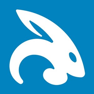 Photo of Swift Bunny