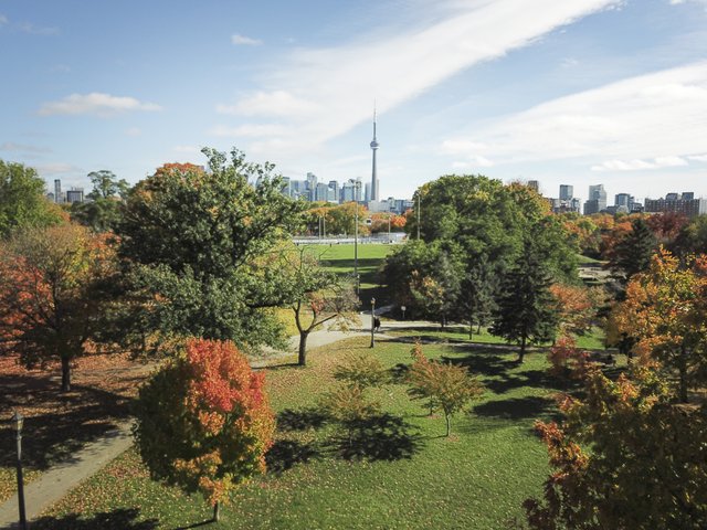 One of Toronto's many parks