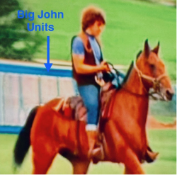 A photo of a man on a horse riding past Big John portable sanitation units