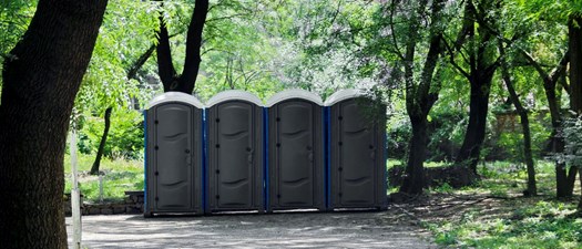 Virtual Roundtable - Raising Portable Sanitation Standards