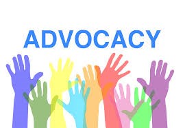 A Slice of Advocacy: Engaging with Elected Representatives 