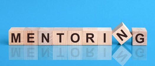 Mentorship: From Experience to Empowerment