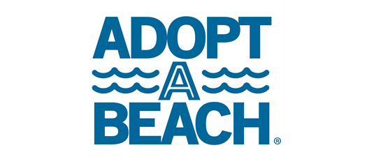 RGVAA: Texas Adopt-A-Beach 2024 Coastwide Fall Cleanup