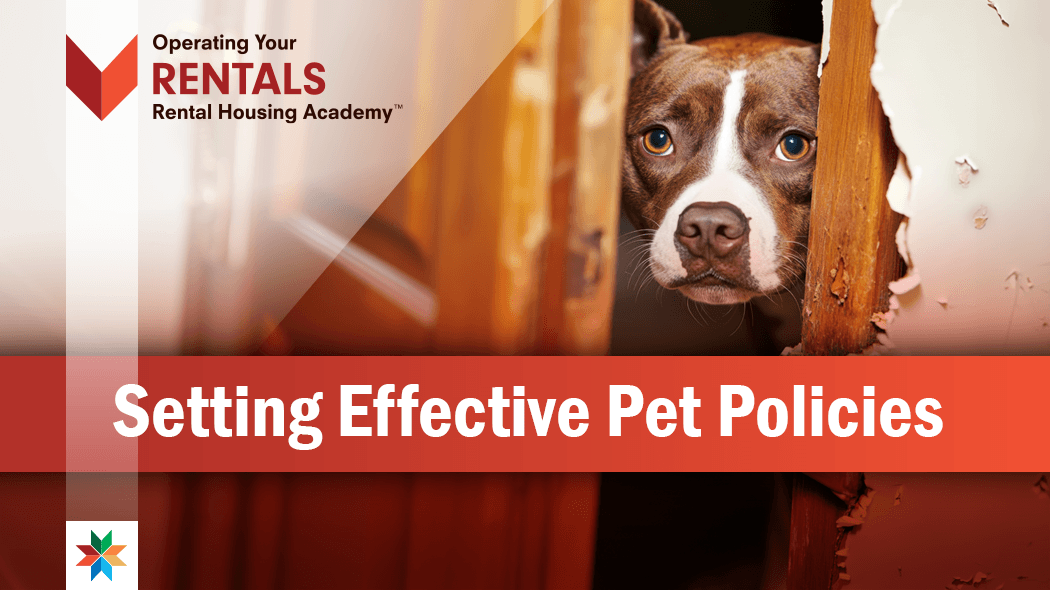 A person holding a dogDescription automatically generated