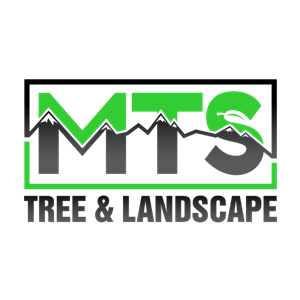 Photo of MTS Tree and Landscape