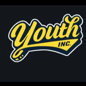 Photo of Youth Inc.