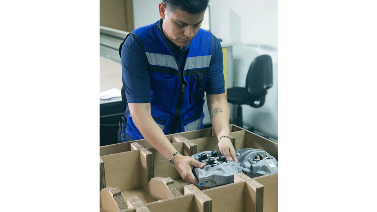 Global Packaging Expertise