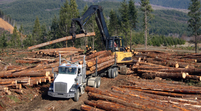 Softwood Lumber Harvesting