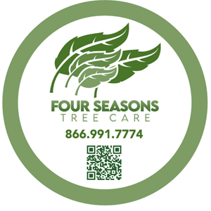 Photo of Four Seasons Tree Care