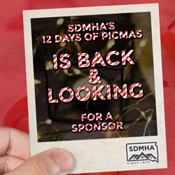 12 Days of Picmas Sponsor