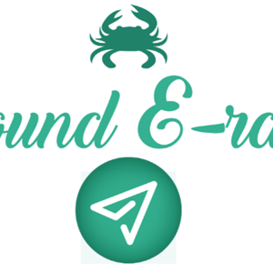 Photo of Sound E-rate, Inc