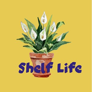 Photo of Shelf Life Books & Gifts