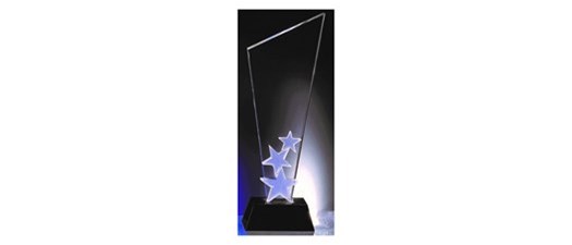 Rising Star Nomination Guidelines 