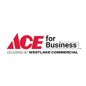 Photo of ACE for Business delivered by Westlake Commercial