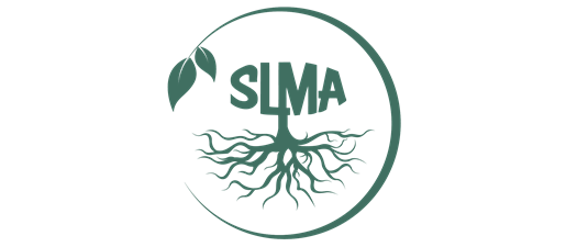 2026 Lumber Professionals Network - Sawmill Tours