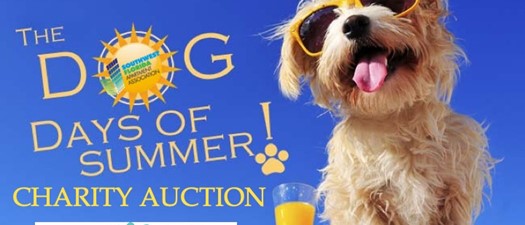 Dog Days of Summer Live Charity Auction 